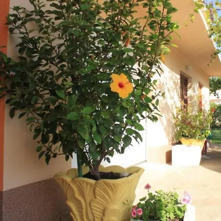 Sea View アパート ククリカ