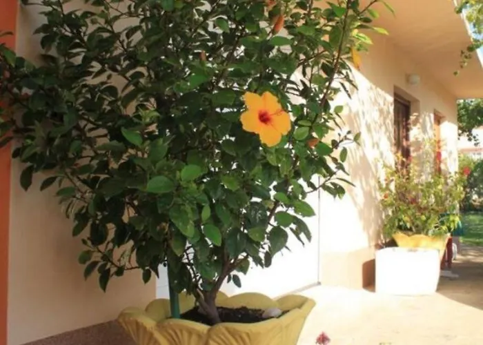 Sea View Apartman Kukljica